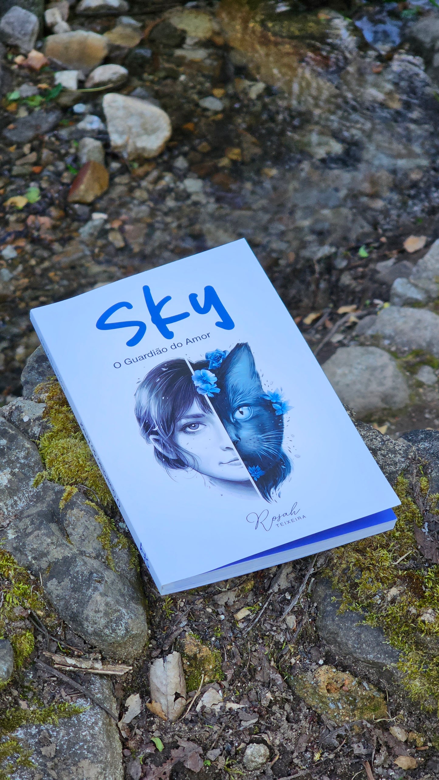 Livro: Sky – O Guardião do Amor